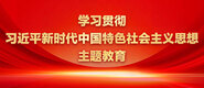 欧美大黑屌学习贯彻习近平新时代中国特色社会主义思想主题教育_fororder_ad-371X160(2)